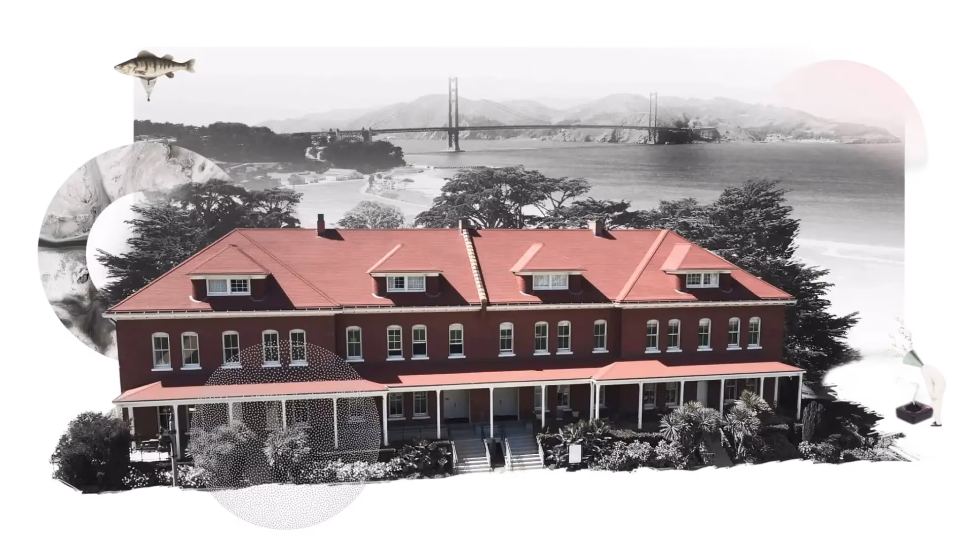 Building at The House